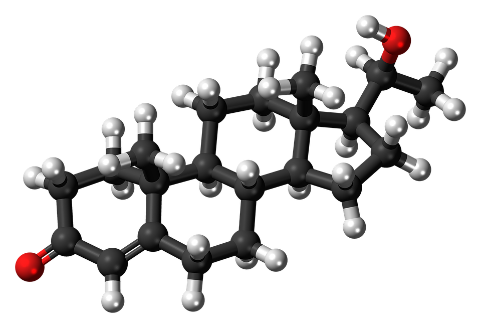 Dihydroprogesterone, Molecule, Steroid, Model