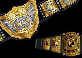 A Comprehensive Guide to Choosing the Perfect Wrestling Belt